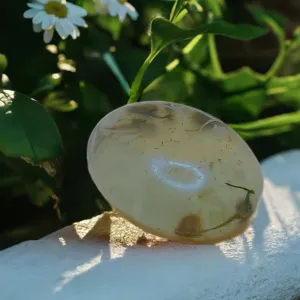 Apple infused in Goatmilk Soap