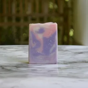 Black Raspberry Vanilla Hand & Body Soap