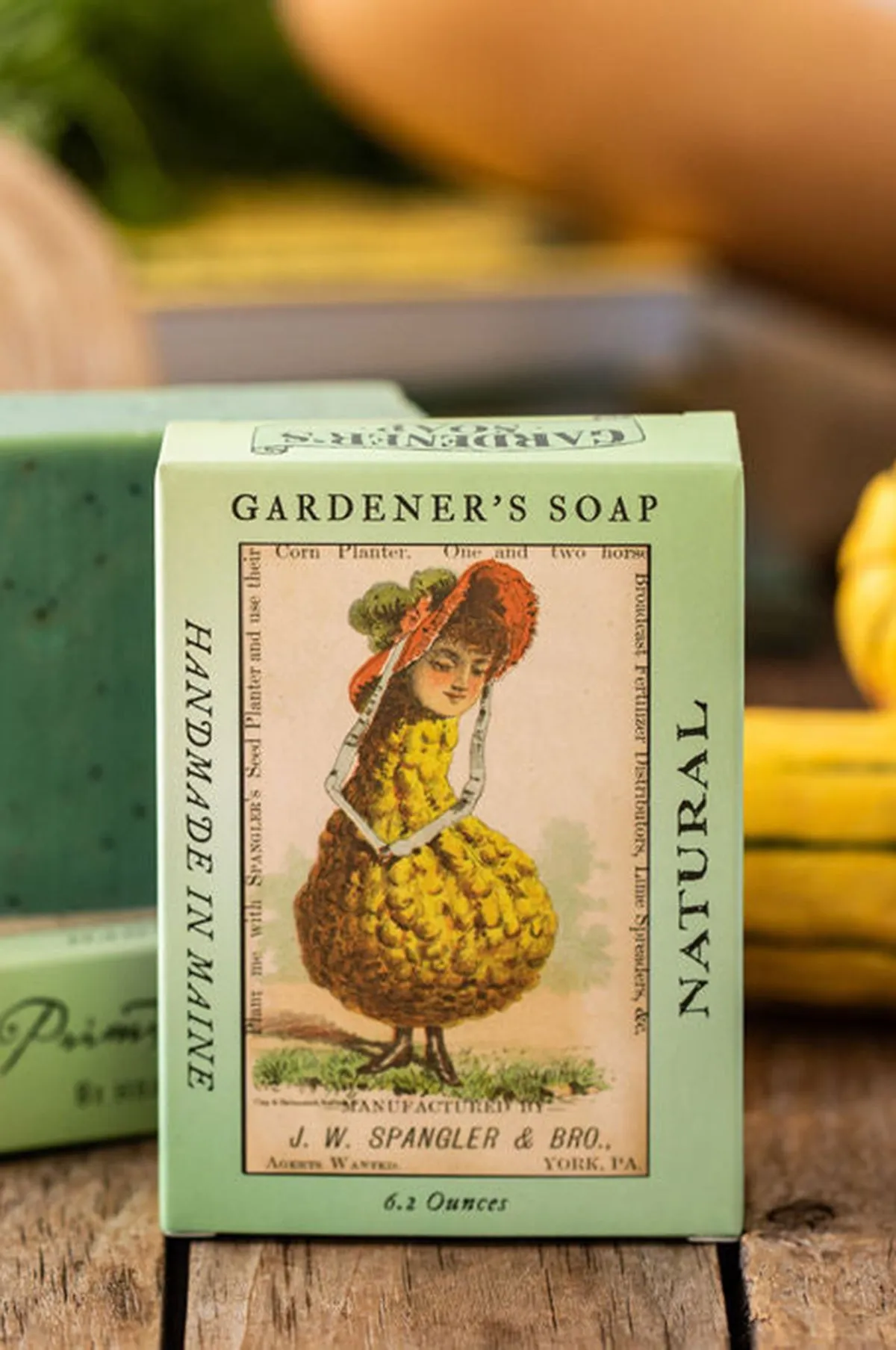 Gardener's Soap Gourd